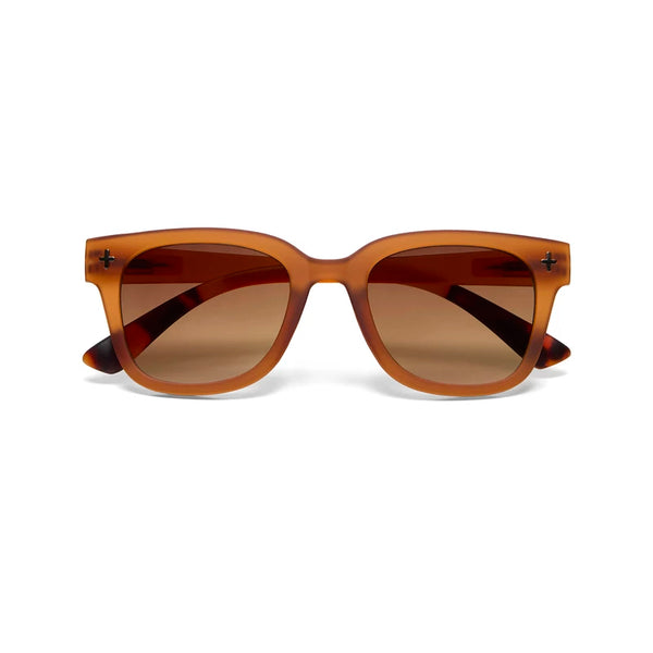 GIOVANNI SUNGLASSES - Transparent Brown