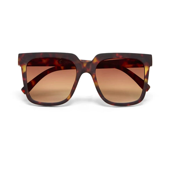 ROMA SUNGLASSES - Classic Havana