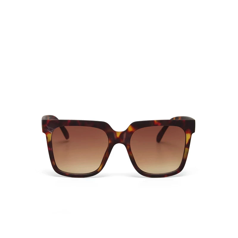 ROMA SUNGLASSES - Classic Havana