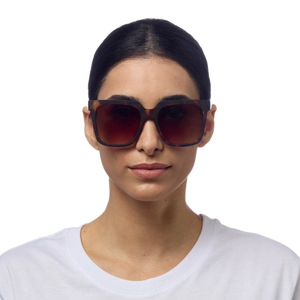 ROMA SUNGLASSES - Classic Havana