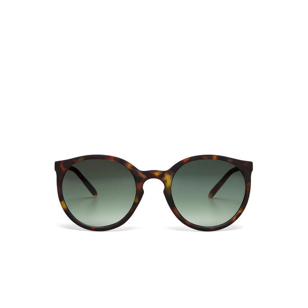 BERLINO SUNGLASSES - Classic Havana