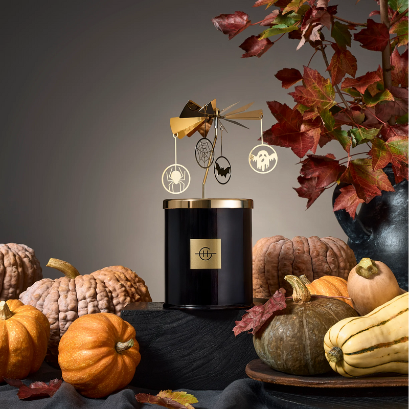 SPOOKY SPINNING CAROUSEL