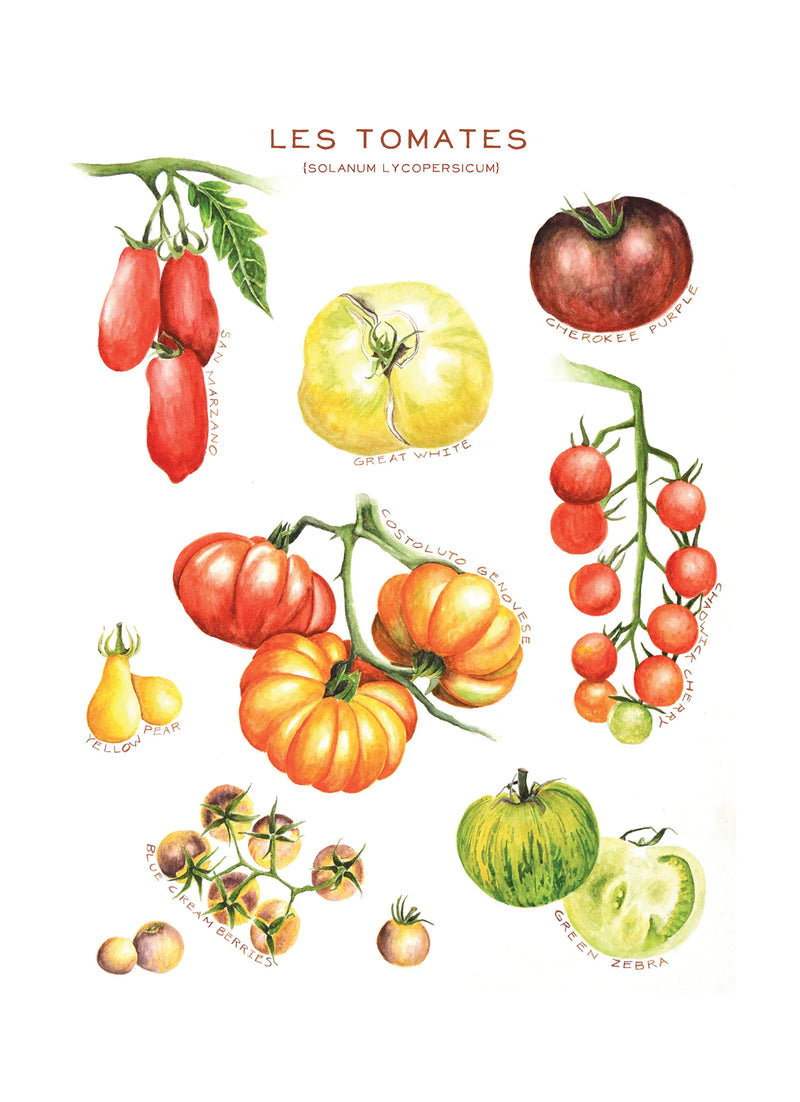 Les Tomates - Tea Towel