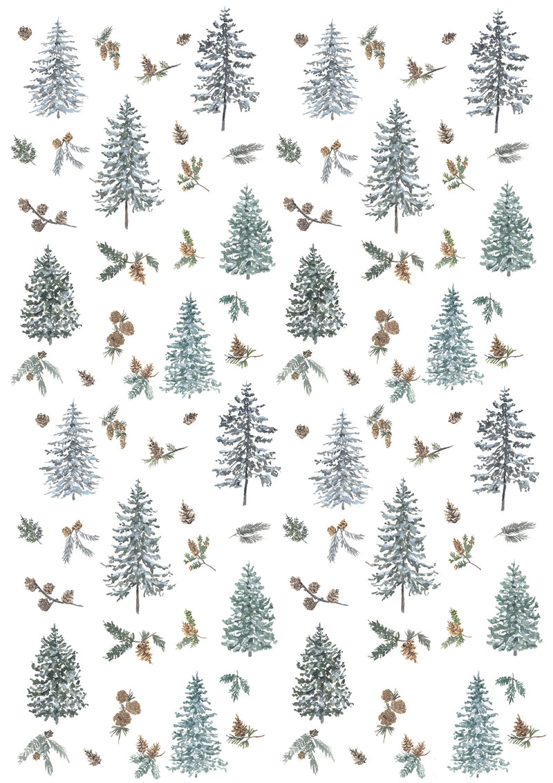 Frasier Fir - Tea Towel